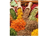 40X50CM FESTIWAL PRZYPRAW OBRAZ