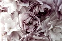 Tło PRODUKTOWE kulinarne Flat Lay na bloga insta