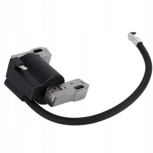 CEWKA ISKROWNIK MODUŁ BRIGGS BS CLASSIC SPRINT 2-4 na Arena.pl