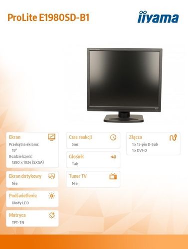 IIYAMA 19'' E1980SD D-sub/DVI-D/glosniki na Arena.pl