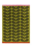 Solid Stem Seagrass 464507