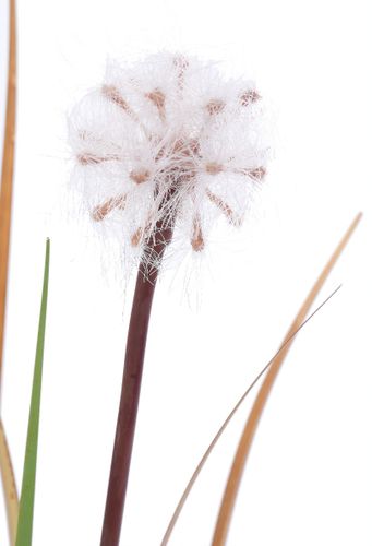 Trawa pionowa Dandelion 70cm na Arena.pl