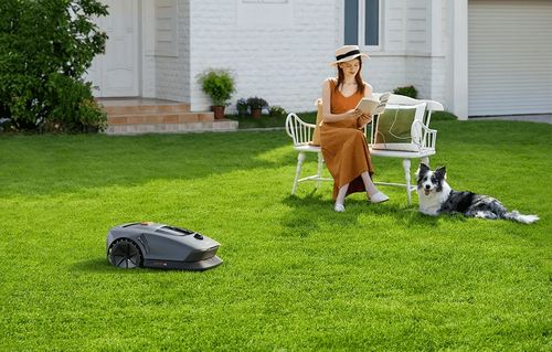 ROBOT KOSZĄCY DREAME MOVA 600 na Arena.pl