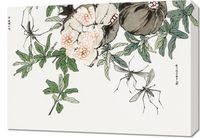 Obraz 70x50cm Owoc Granatu Morimoto Toko Japoński Vintage do Salonu