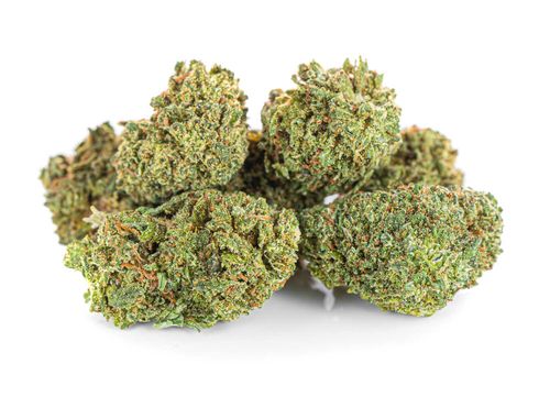 Susz konopny CBD | WHITE WIDOW | 5 g na Arena.pl