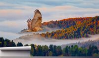 Fototapeta JASTRZĄB PTAK LAS WE MGLE CHMUR 390x280
