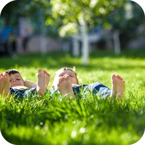 CHWASTOX NOWY TRIO 390 SL 200ml ŚRODEK CHWASTOBÓJCZY NA CHWASTY W na Arena.pl