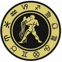 Wodnik - znak zodiaku - magnes; metal emaliowany