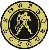 Wodnik - znak zodiaku - magnes; metal emaliowany