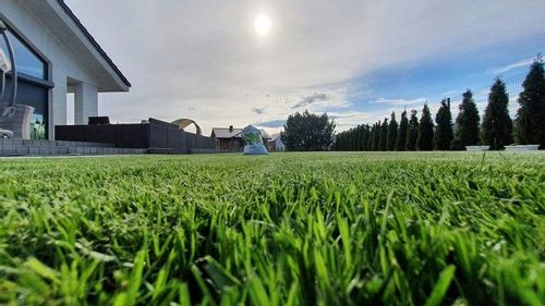 Nawóz do trawy do trawników na lato MAGGROW 20 kg na Arena.pl