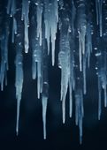 Plakat 67,5x95cm Zimowy Szept