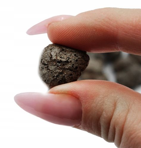 KERAMZYT ogrodniczy 50L ceramiczny ZIEMIA podłoże na Arena.pl