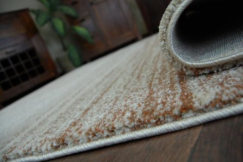 Dywan SHADOW 8622 rust / cream  280x370 cm na Arena.pl