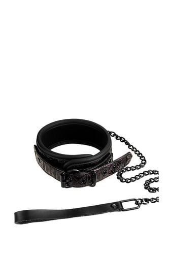 blaze collar and leash purple na Arena.pl