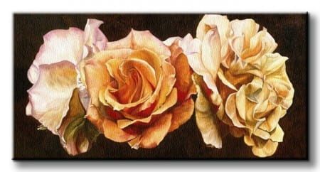 Rose Trio Róża - Obraz na płótnie 100x50 cm na Arena.pl