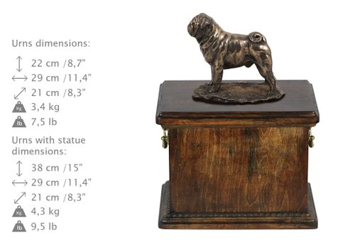 Mops - urna - 4067 na Arena.pl