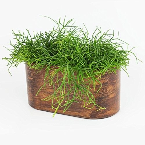 Osłonka Ceramiczna Capri Mini doniczka biała eco zdjęcie 3