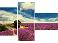 100CM 80 OBRAZ 3 ELEM LAWENDOWY KRAJOBRAZ ŚCIENNY