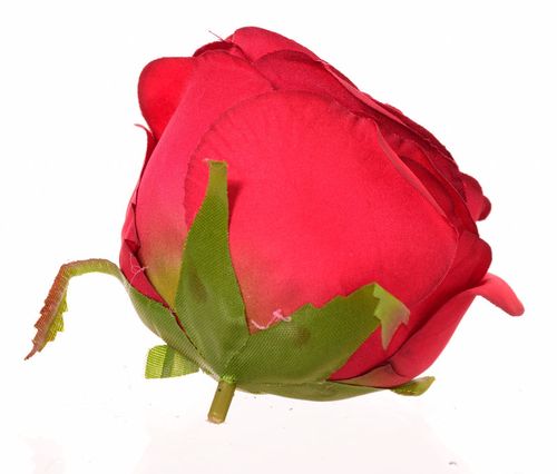 Róża główka czerwona na Arena.pl