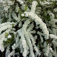 product-compare-57884732