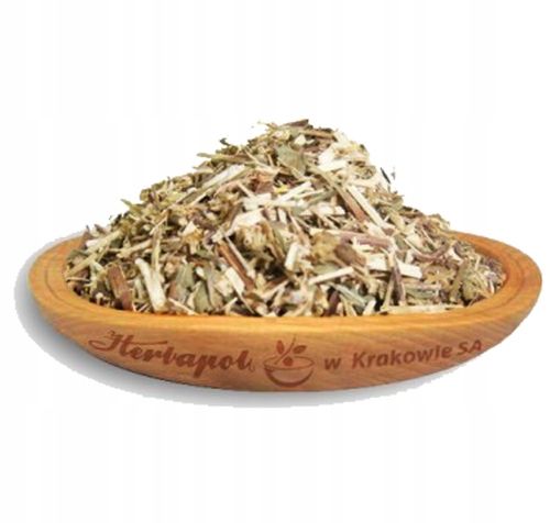 Nawłoć ziele 50g Herbapol na Arena.pl