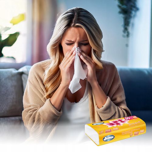 5000 szt. Wyciągane Chusteczki higieniczne Słonik Jumbo SMART 25x200 Karton na Arena.pl