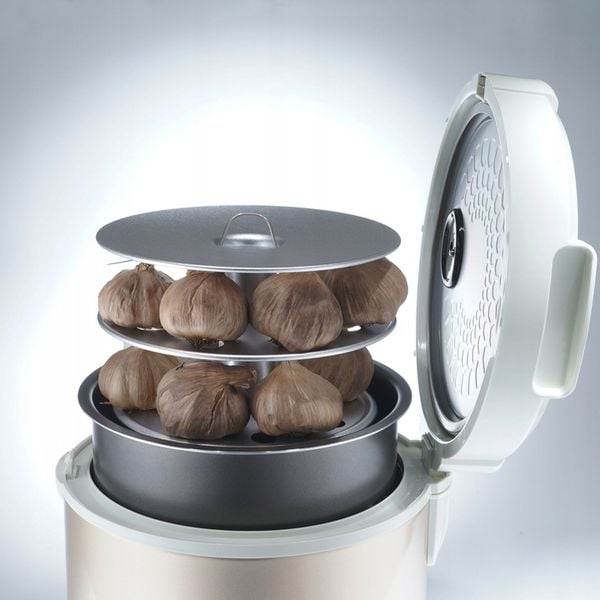 GARNEK DO FERMENTACJI CZARNEGO CZOSNKU TIROSS 5L TS904 zdjęcie 10