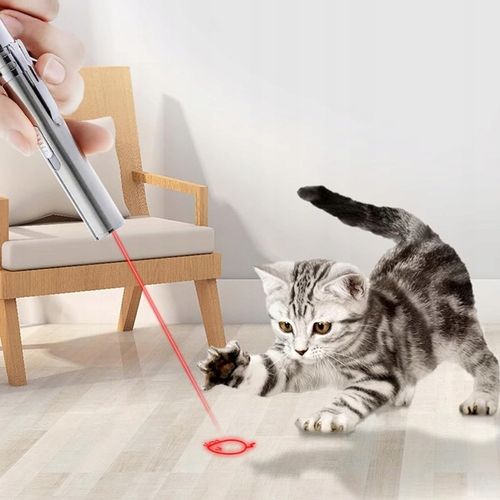 Laser dla kota Wskaźnik laserowy dla kota USB 3w1 latarka UV na Arena.pl