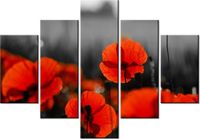 product-compare-58676056