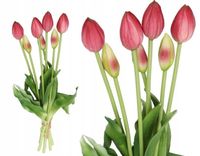 product-compare-61700085