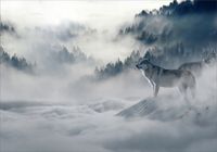 FOTOTAPETA WILK Las do salonu sypialni 3D 300x210