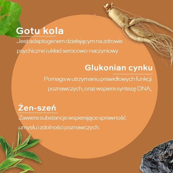 Brain Tech 60 - Solve Labs - Pamięć Koncentracja zdjęcie 7