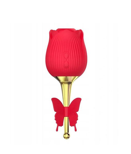 Flirting Partner Usb 10 Functions zdjęcie 1