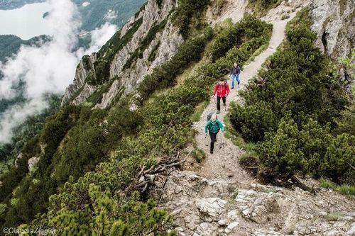 Kije kijki trekkingowe regulowane LEKI KHUMBU 110-145 277g na Arena.pl