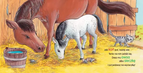 Konik iha, iha na Arena.pl