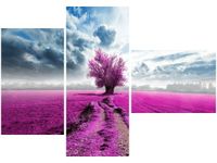 OBRAZ FIELD&TREE POLE DRZEWO KOLORY