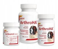 Dolfos ArthroHA 90 tabletek na stawy