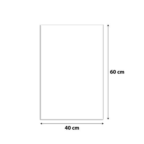 OBRAZ NA PŁÓTNIE 087 Renifer 40x60cm na Arena.pl