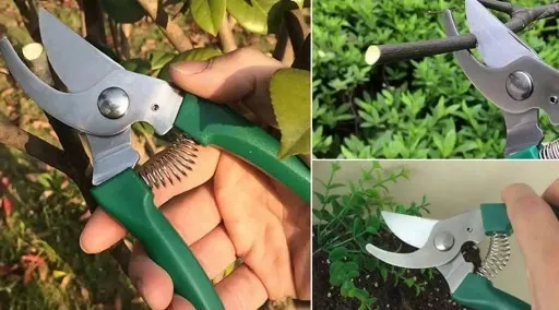 Zestaw narzędzi ogrodowych w walizce 10 elementów zdjęcie 7