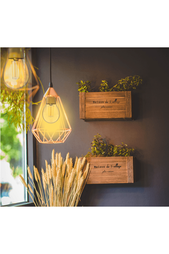 Woox R9078 Smart Żarówka Retro WiFi LED 6W E27 Filamentowa na Arena.pl