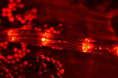 LED świetlny kabel - 240 diod, 10 m, czerwony na Arena.pl