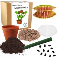 MUCHOŁÓWKA OWADOŻERNA NASIONA ZESTAW DO UPRAWY DO SADZENIA NASIONA 5 SZT