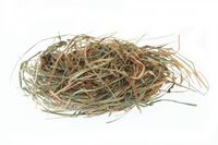 SIANKO NA STÓŁ WIGILIJNY ARPEX