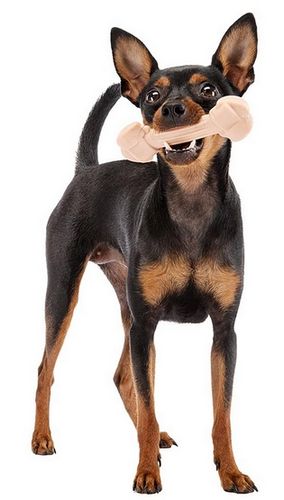 Ferplast Goodbite Natural Singlepack Szynka 1Szt M 70G na Arena.pl