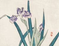 Plakat 65x50cm Irises, Kōno Bairei Japoński Vintage do Salonu