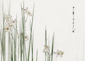 Plakat 18x13cm Jonquil, Bijutsu Sekai Japoński Vintage