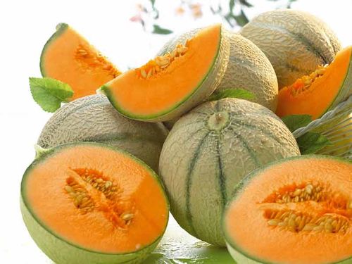 Nasiona Melon cukrowy Charentaise 3g na Arena.pl