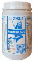 PROTEINA 66% białko dla gołębi OVIGOR 500g