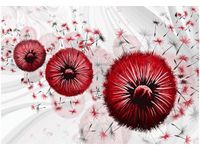 100 70CM OBRAZ PŁÓTNO CZERWONY DMUCHAWCE 4 PŁÓTNO RAMA