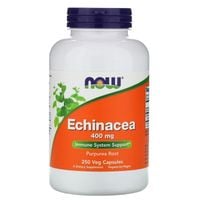 NOW FOODS Echinacea - Jeżówka Purpurowa (250 kaps.)
